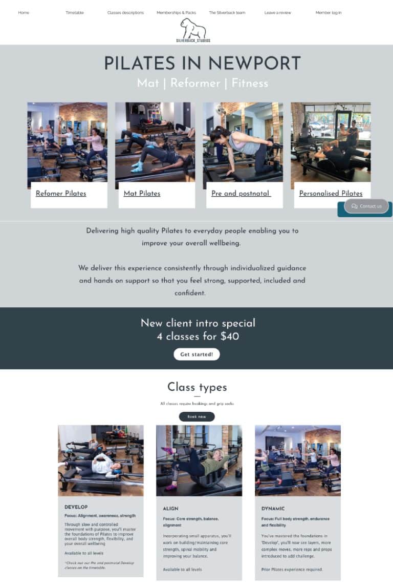 Silverback Old Website